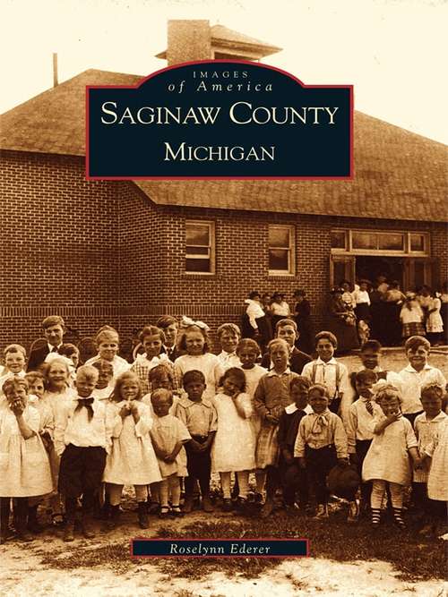 Book cover of Saginaw County, Michigan