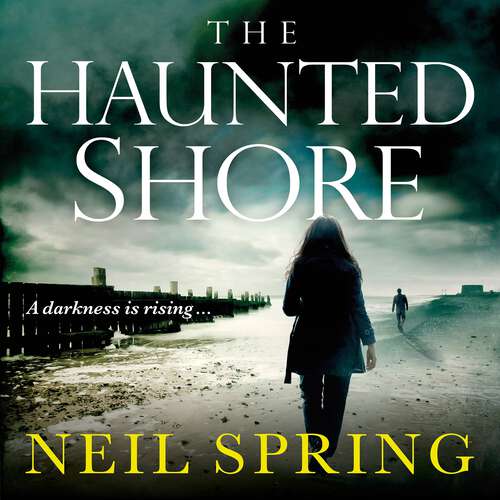 Book cover of The Haunted Shore: a gripping supernatural thriller from the author of The Ghost Hunters