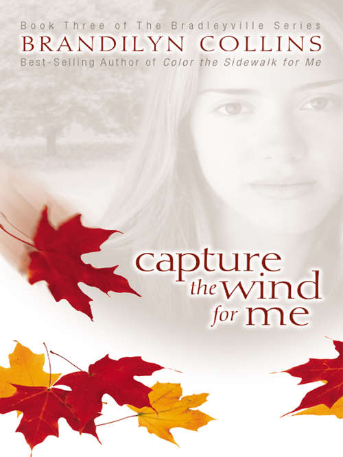 Book cover of Capture the Wind for Me