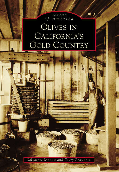 Book cover of Olives in California's Gold Country