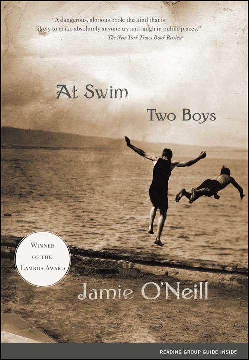 Book cover of At Swim, Two Boys: A Novel