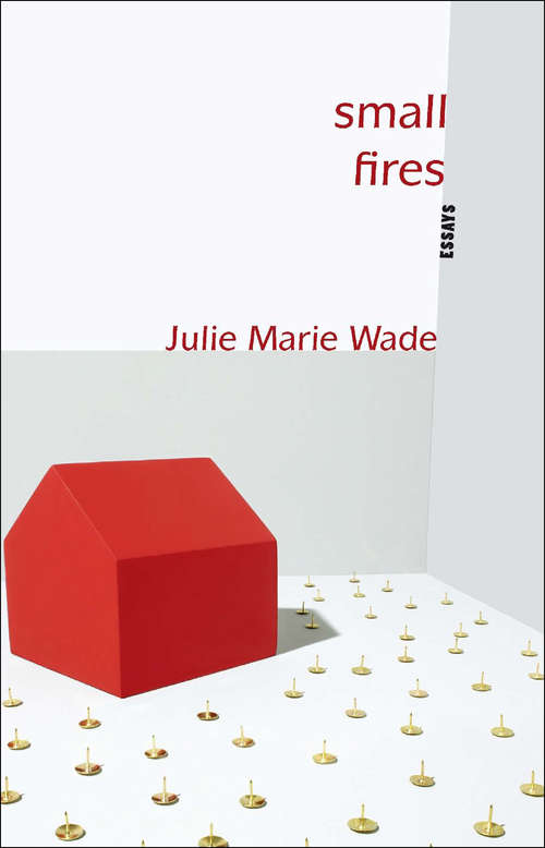 Book cover of Small Fires: Essays (Linda Bruckheimer Series In Kentucky Literature Ser.)