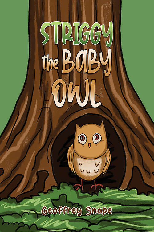 Book cover of Striggy the Baby Owl