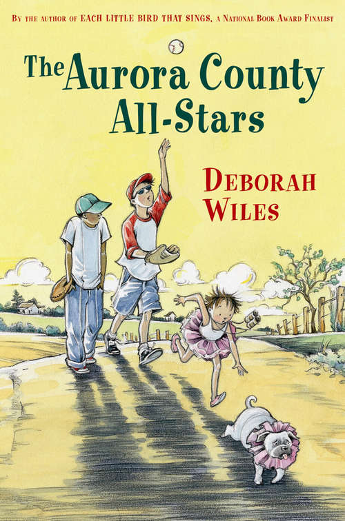 Book cover of The Aurora County All-Stars