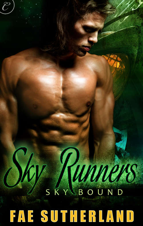 Book cover of Sky Runners