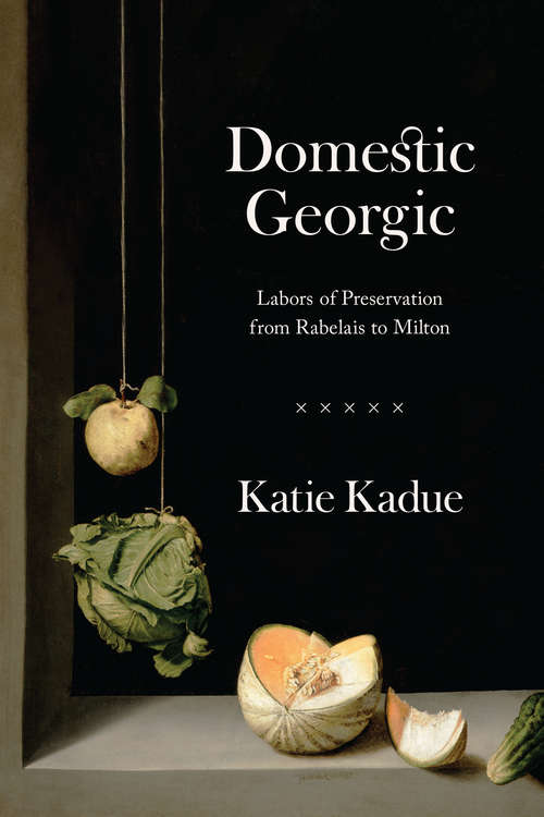 Book cover of Domestic Georgic: Labors of Preservation from Rabelais to Milton