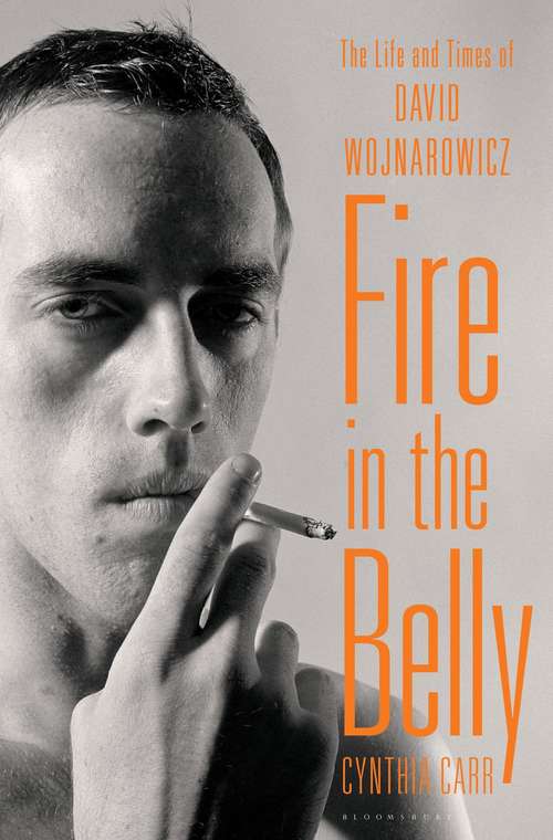 Book cover of Fire in the Belly: The Life and Times of David Wojnarowicz