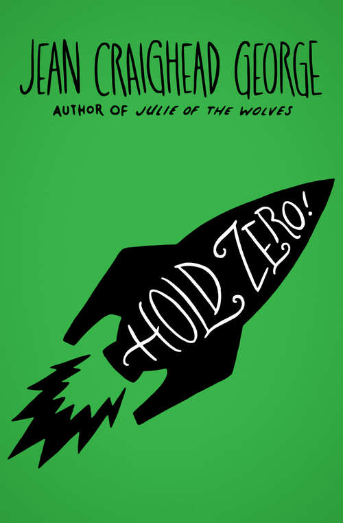 Book cover of Hold Zero!