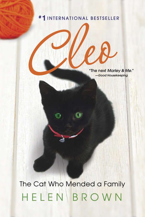 Book cover of CLEO: The Cat Who Mended a Family