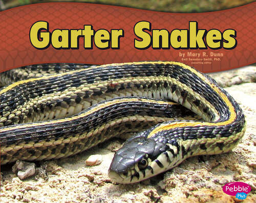 Book cover of Garter Snakes (Snakes Ser.)