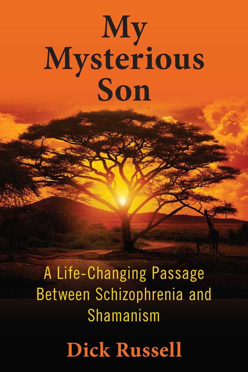 Book cover of My Mysterious Son: A Life-Changing Passage between Schizophrenia and Shamanism