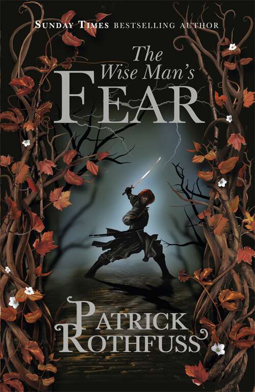 Book cover of The Wise Man's Fear: The Kingkiller Chronicle: Book 2 (Kingkiller Chronicle)