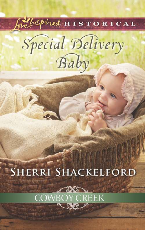 Book cover of Special Delivery Baby