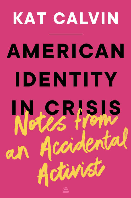 Book cover of American Identity in Crisis: Notes from an Accidental Activist