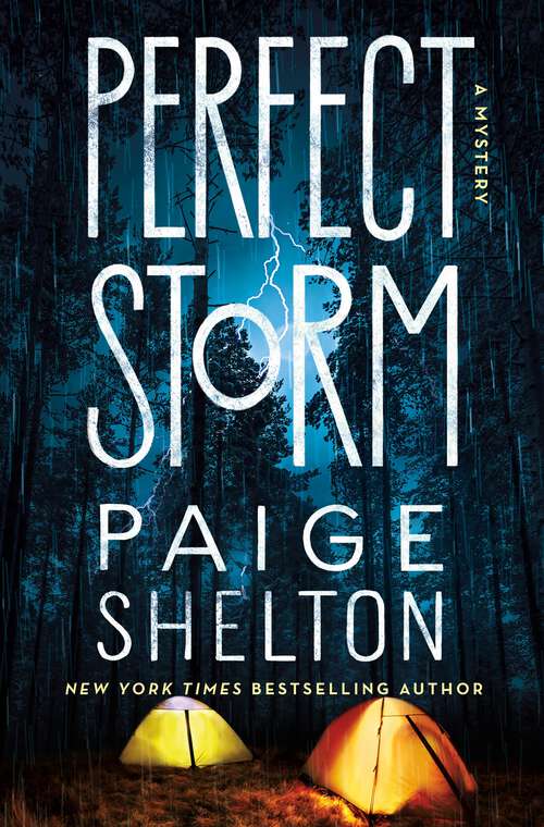 Book cover of Perfect Storm: A Mystery (Alaska Wild #6)