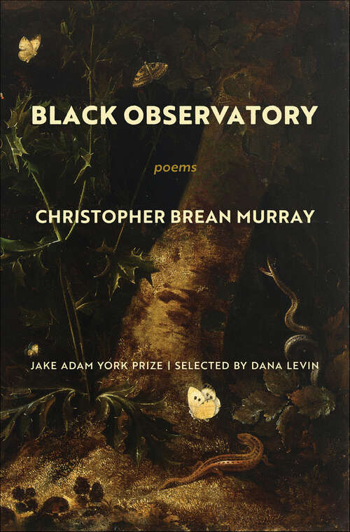 Book cover of Black Observatory: Poems