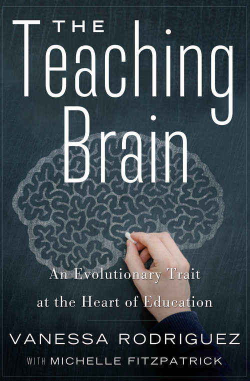 Book cover of The Teaching Brain: An Evolutionary Trait at the Heart of Education