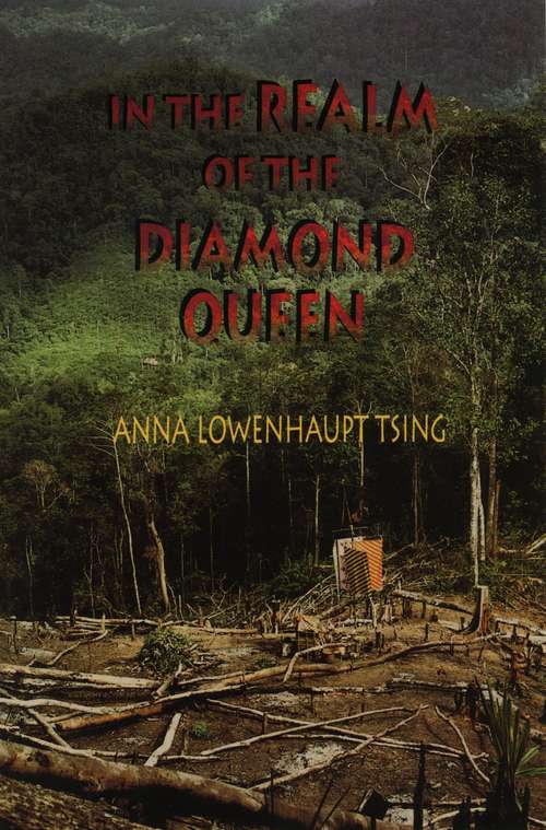 Book cover of In the Realm of the Diamond Queen: Marginality in an Out-of-the-Way Place