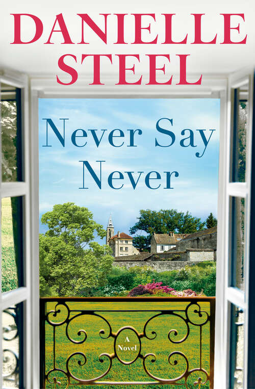 Book cover of Never Say Never: A Novel