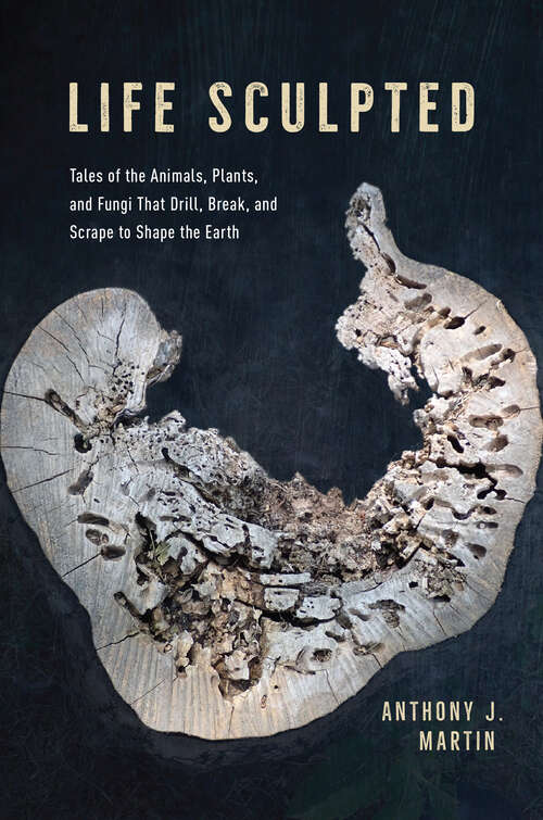 Book cover of Life Sculpted: Tales of the Animals, Plants, and Fungi That Drill, Break, and Scrape to Shape the Earth