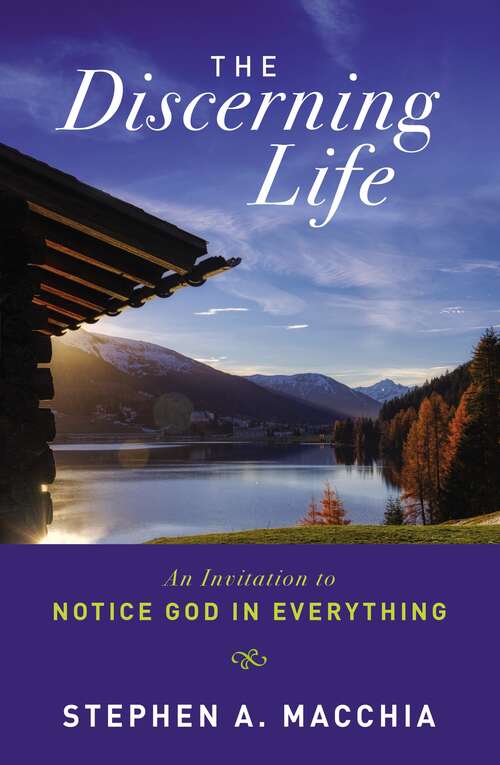 Book cover of The Discerning Life: An Invitation to Notice God in Everything