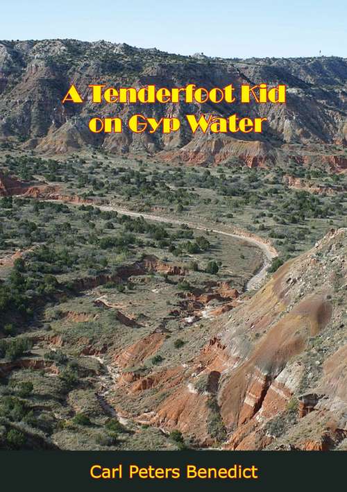 Book cover of A Tenderfoot Kid on Gyp Water