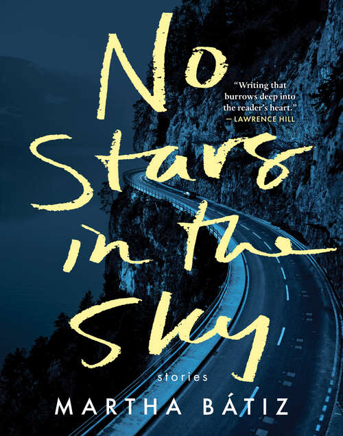 Book cover of No Stars in the Sky