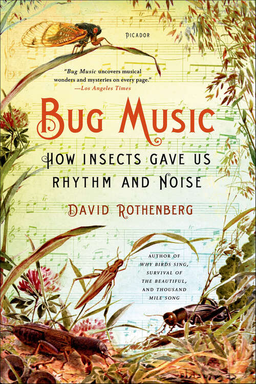 Book cover of Bug Music: How Insects Gave Us Rhythm and Noise