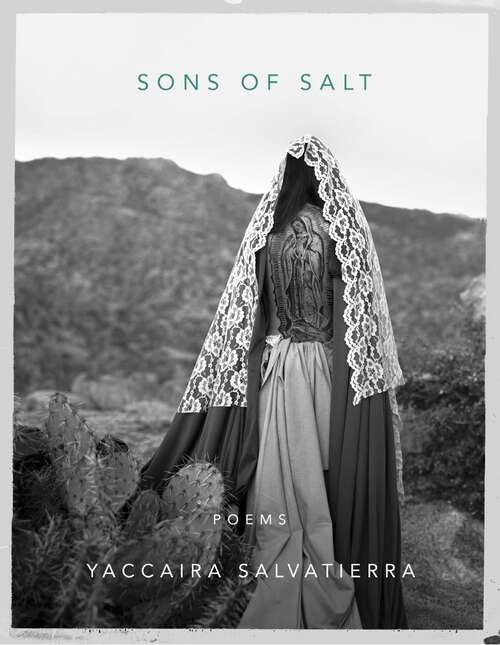 Book cover of Sons of Salt