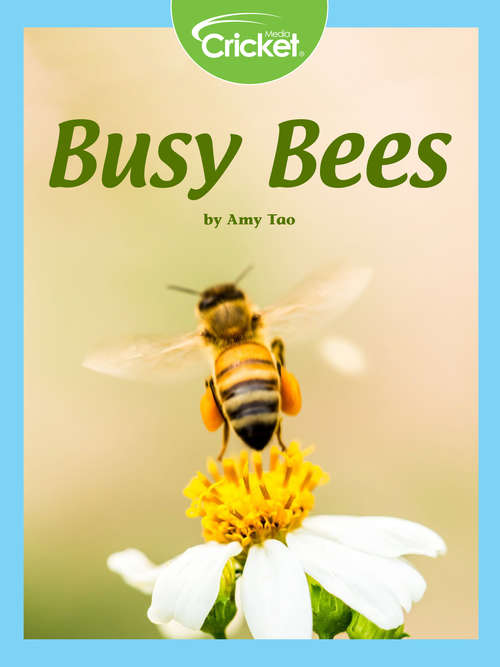 Book cover of Busy Bees