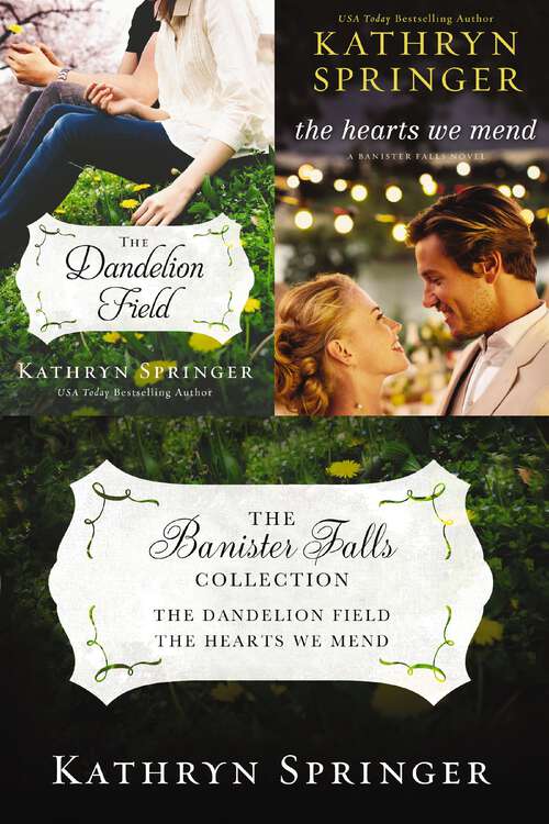 Book cover of The Dandelion Field: The Dandelion Field and The Hearts We Mend (A Banister Falls Novel)
