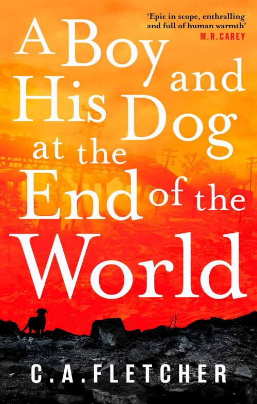 Book cover of A Boy and his Dog at the End of the World