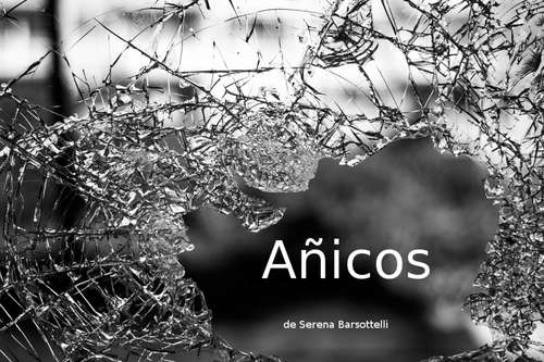 Book cover of Añicos