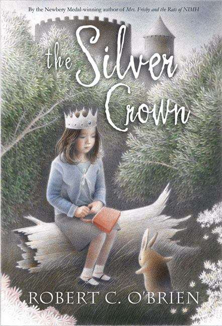 Book cover of The Silver Crown