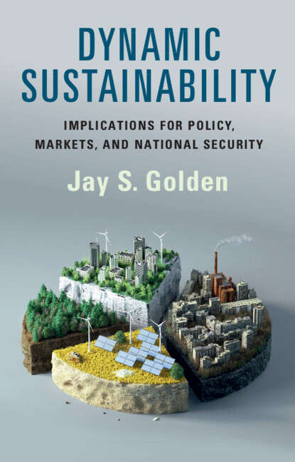 Book cover of Dynamic Sustainability: Implications For Policy, Markets And National Security