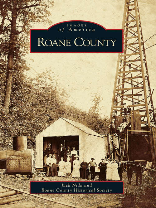 Book cover of Roane County