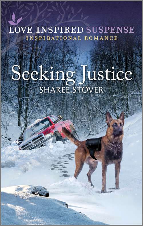 Book cover of Seeking Justice (Original)