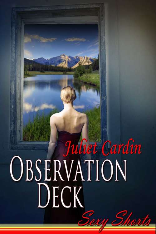 Book cover of Observation Deck