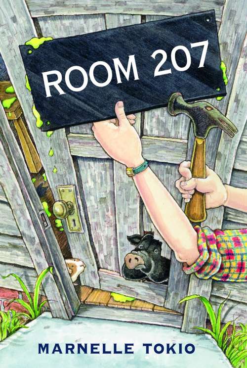 Book cover of Room 207