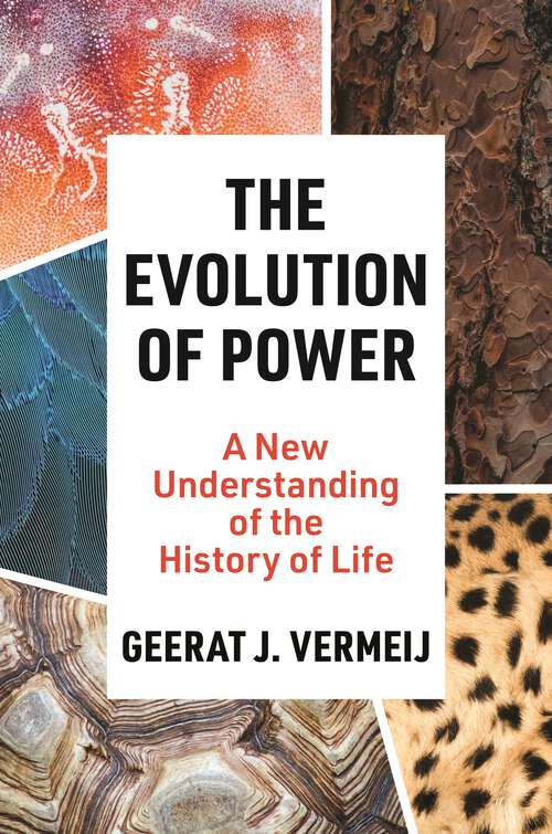 Book cover of The Evolution of Power: A New Understanding of the History of Life