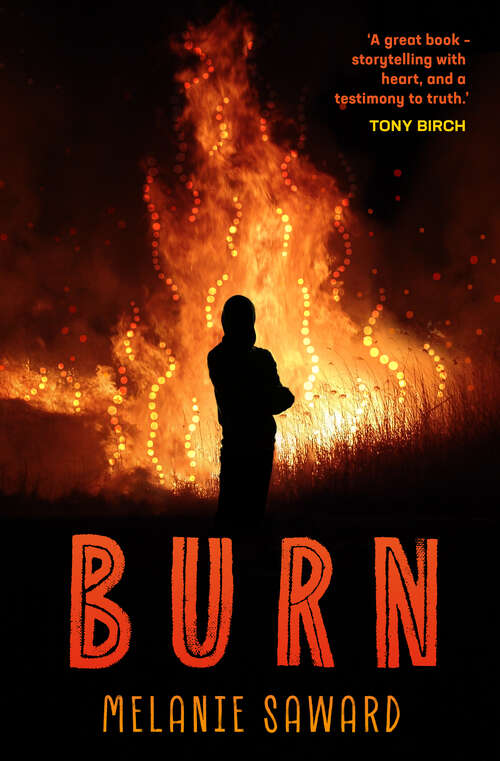 Book cover of Burn