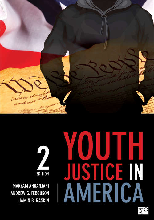 Book cover of Youth Justice in America (Second Edition)