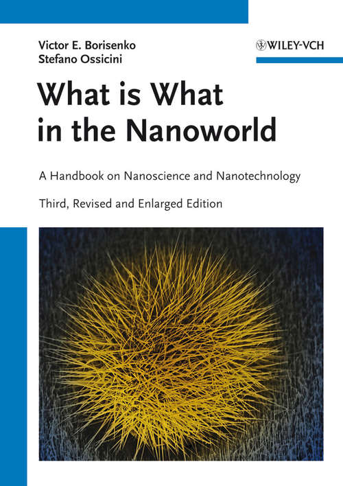Book cover of What is What in the Nanoworld