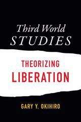 Book cover of Third World Studies: Theorizing Liberation