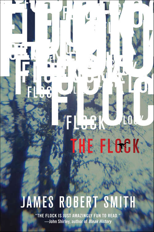 Book cover of The Flock
