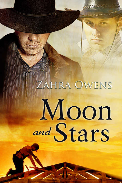 Book cover of Moon and Stars (Clouds and Rain Stories #4)