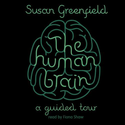 Book cover of The Human Brain: A Guided Tour (SCIENCE MASTERS)