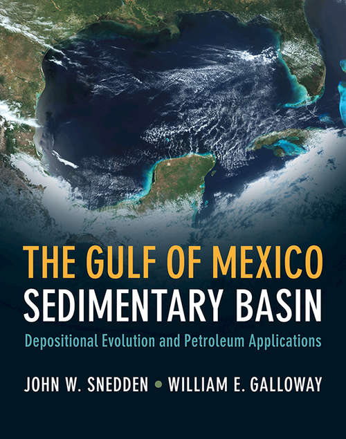 Book cover of The Gulf of Mexico Sedimentary Basin: Depositional Evolution and Petroleum Applications