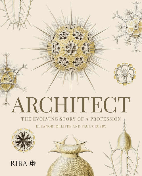 Book cover of Architect: The evolving story of a profession