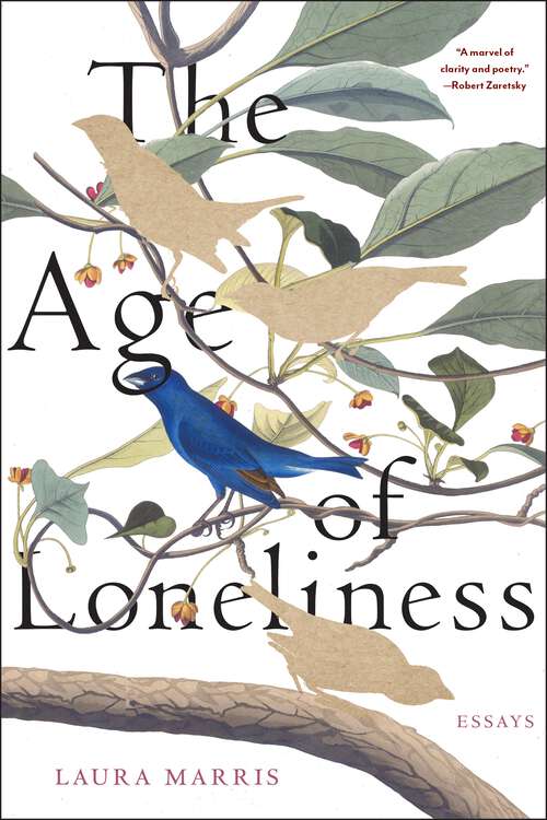 Book cover of The Age of Loneliness: Essays